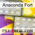 Anaconda Strong 17